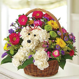Basket of colorful flowers arranged around a white teddy bear