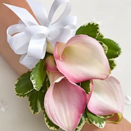 Pink and white calla lily wrist corsage with a white ribbon bow