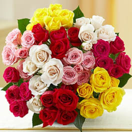 Bouquet of multicolored roses in pink, red, white, and yellow