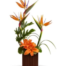 Modern tropical arrangement with orange lilies and birds of paradise in a dark wooden cube vase
