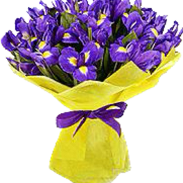 24 Blue Iris Bouquet