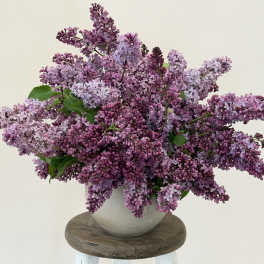 The I'm so happy it's Lilac Season Arrangement.