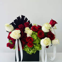 Red and white roses arranged in a black box with white ribbons