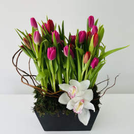Pink tulips and white orchids in a black rectangular planter