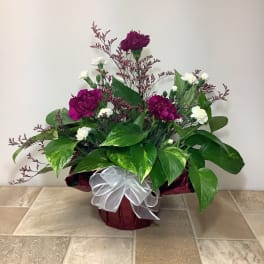 Bouquet of magenta and white carnations in a wrapped container with a white bow
