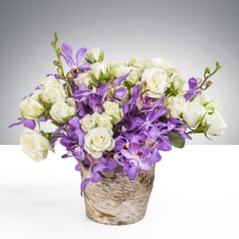 Arrangement of white roses and purple orchids in a rustic birch-wrapped pot