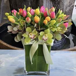 Colorful tulip bouquet with orchids in a glass vase