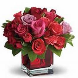 Bouquet of red and pink roses in a square glass vase