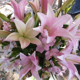 Bouquet of pink and white lilies with small striped accent flowers