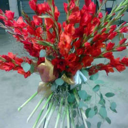 Tall bouquet of red gladiolus with trailing eucalyptus
