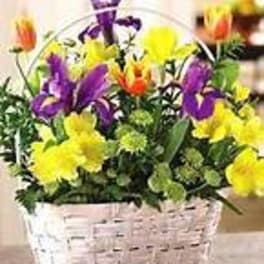 Basket of purple and yellow flowers with orange accents