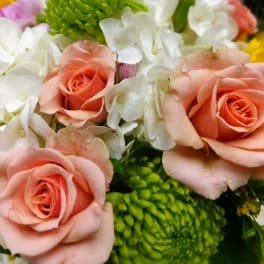 Close-up bouquet of peach roses and white hydrangeas with green mums