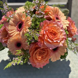 Bouquet of peach gerbera daisies and coral roses