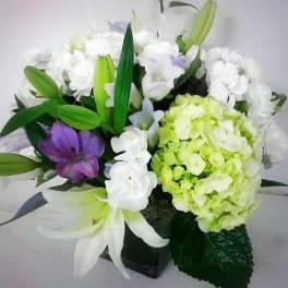 Bouquet of white and purple flowers with green lilies in a black vase