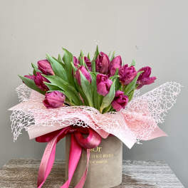 Tulips in a box - purple