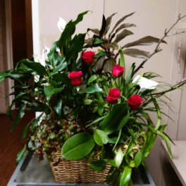 Basket arrangement with red roses and lush green foliage