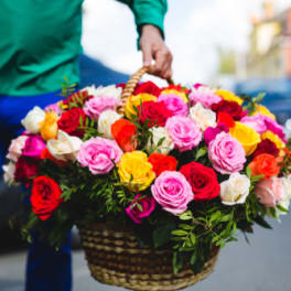 Large basket of multicolored roses being carried outdoors