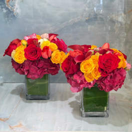 Two colorful rose arrangements in square glass vases
