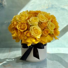 Yellow rose bouquet in a white hatbox with a black ribbon