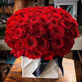 Large bouquet of red roses in a white box with a black ribbon