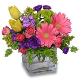 Colorful bouquet in a square glass vase with pink daisies and yellow tulips