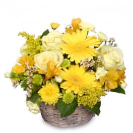 Yellow and white mixed flowers in a wicker basket