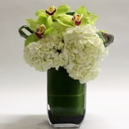White hydrangeas and green orchids in a tall glass vase