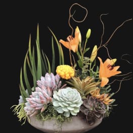 Succulent arrangement with orange lilies in a shallow bowl