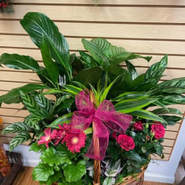 Basket arrangement with pink flowers, tropical foliage, and a magenta bow
