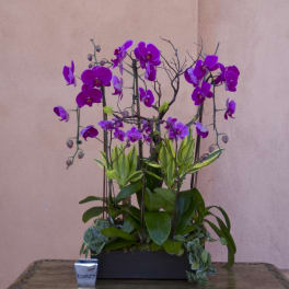 Purple orchids arranged in a black rectangular planter with green foliage