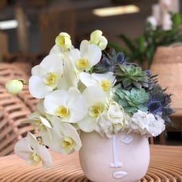 White orchids and succulents arranged in a pale ceramic face vase