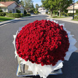Large dome bouquet of red roses wrapped in white paper