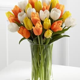 Bouquet of multicolored tulips in a clear glass vase
