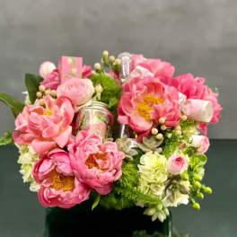 Peony and Gifts