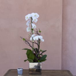 White orchid arrangement in a square silver vase with a small candle beside it