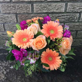 Peach gerbera daisies and roses with purple accents in a low bouquet