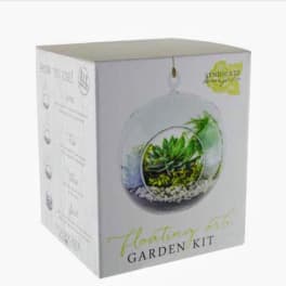 Boxed floating garden kit with a small succulent terrarium on the front