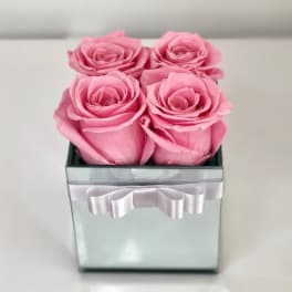 Four pink roses in a square glass box with a white ribbon