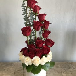 Tall arrangement of red and white roses in a white cylinder vase