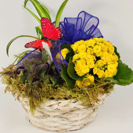 Yellow flowers in a woven basket with a purple ribbon and red butterfly