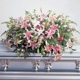 Pink and white lilies arranged on a casket