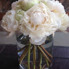 White peonies arranged in a clear glass vase