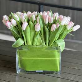 Pink and white tulips in a clear rectangular glass vase