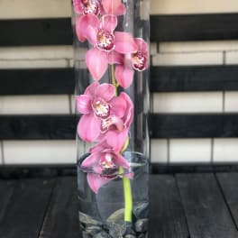 Pink orchids in a tall clear glass vase with stones