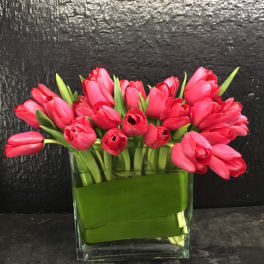 Pink tulips arranged in a clear glass vase with green wrap