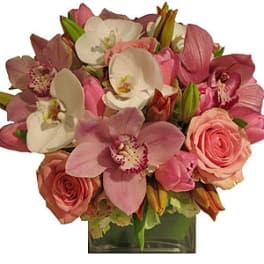 Compact arrangement of pink roses and pink and white orchids in a clear glass cube vase