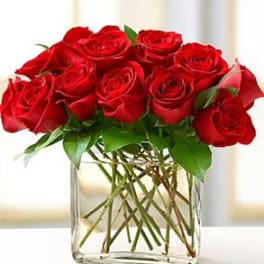Modern Roses One Dozen Red