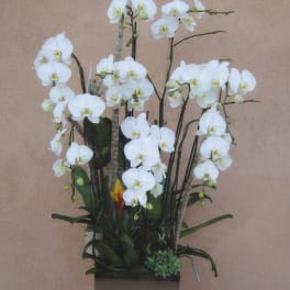 White orchid arrangement in a square planter with a small candle beside it