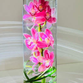 Pink orchids arranged in a tall clear glass vase