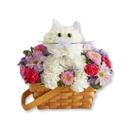 Cat-shaped flower basket with white blooms and colorful daisies